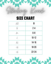 Load image into Gallery viewer, High Desert Horizon Bomber Jacket