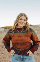 Load image into Gallery viewer, Horse sweater
