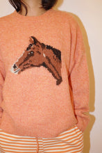 Load image into Gallery viewer, Horse Graphic Knit Sweater

