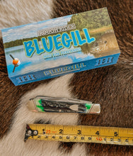 Load image into Gallery viewer, Rough Ryder Bluegill Trapper Bone Pocket Knife
