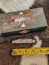 Load image into Gallery viewer, Rough Ryder Black Appaloosa Capital Intern pocket knife
